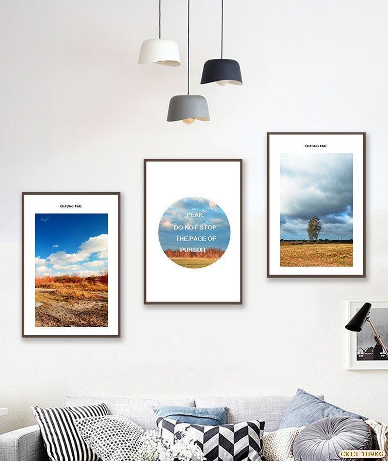 Cánh đồng CKT3-189KG